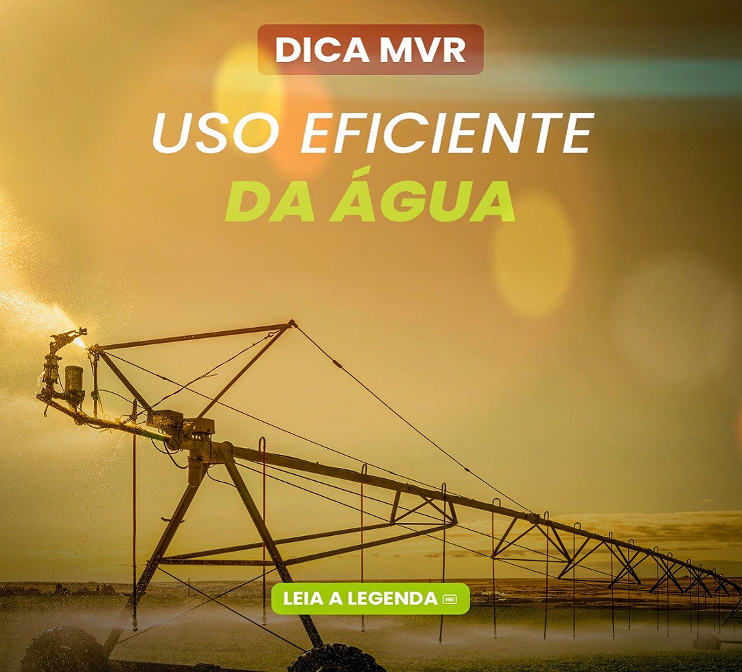 Uso eficiente da água