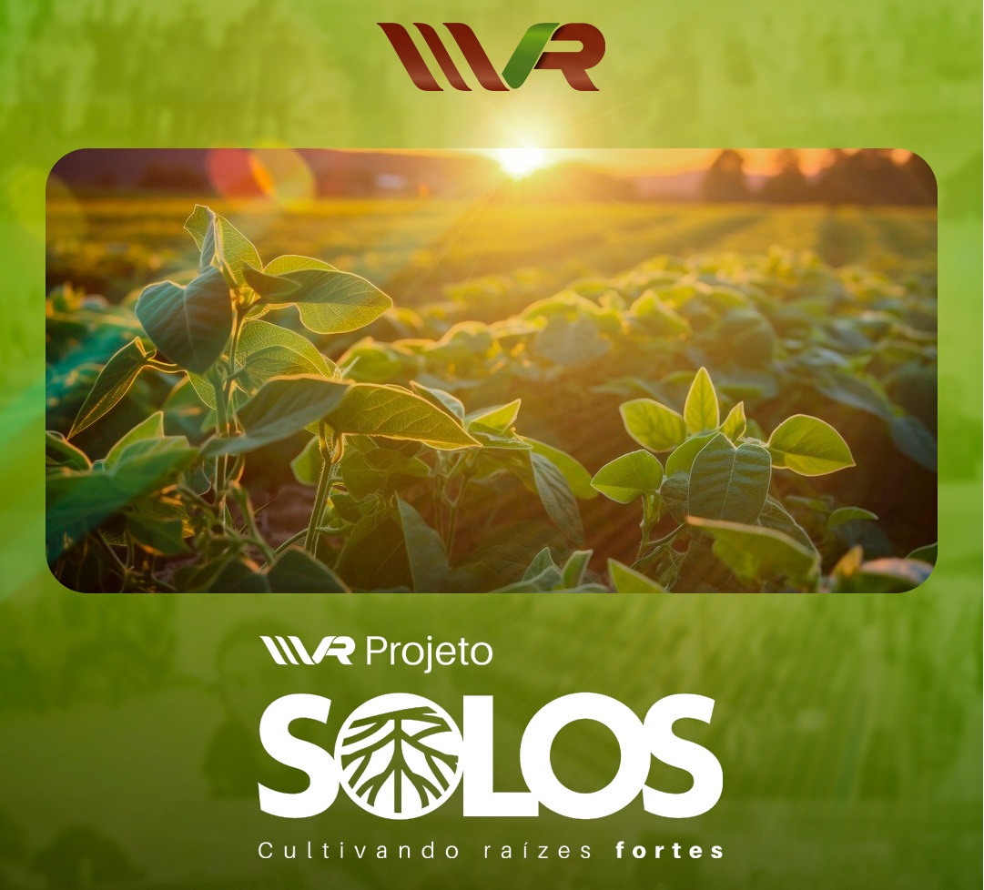 Projeto Solos: Cultivando Raízes Fortes no DNA MVR