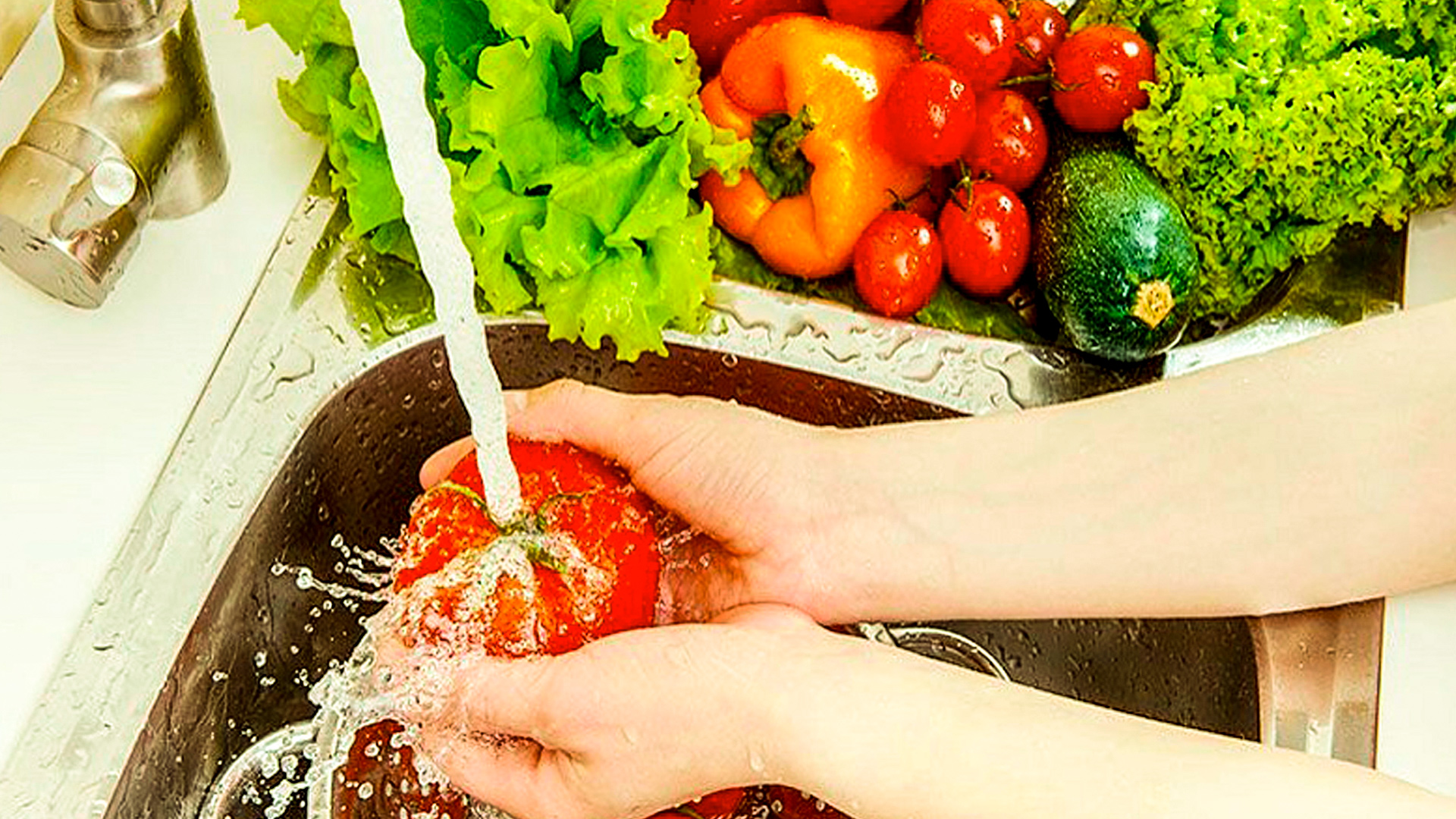 Segurança alimentar em pauta